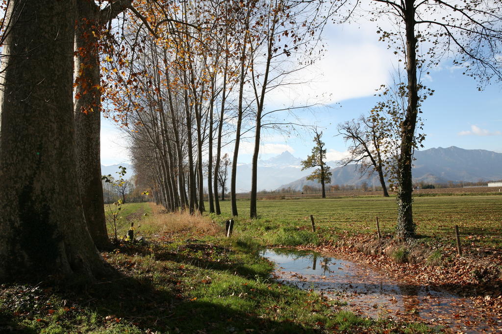 فيلا Revelloفي Agriturismo La Virginia المظهر الخارجي الصورة